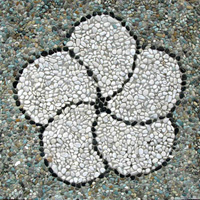 Stepping Stone
