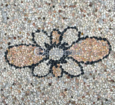 Stepping Stone