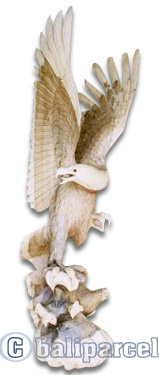 Wooden Eagle Handcarved From Suar Wood