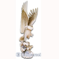 Wooden Eagle Handcarved From Suar Wood