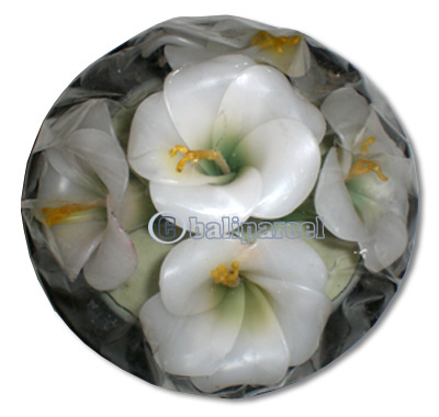 Hibisus Candle