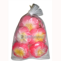 Hibiscus Candle Set Of 10