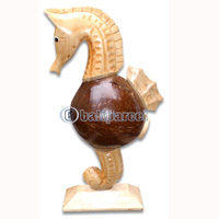 Coins Box, From Coconut Shell