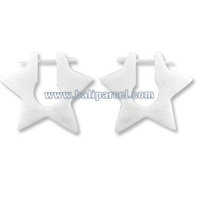 Bone Stick Earring