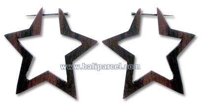 Wooden Stick Earring, From Sono Wood