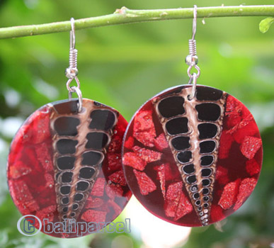 Earring, Made From Resin, Red Coral With Shell