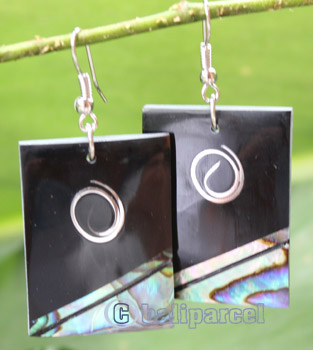 Earring, Made From Resin, Shell With Stainless