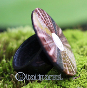 Ring, Made From Resin With Shell
