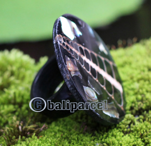 Ring, Made From Resin With Shell