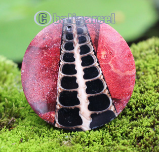 Ring, Made From Resin With Red Coral