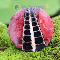 Ring, Made From Resin With Red Coral