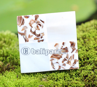Ring, Made From Resin With Shell