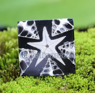 Ring, Made From Resin With Shell