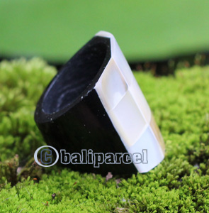 Ring, Made From Resin With Shell