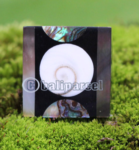 Ring, Made From Resin With Shell