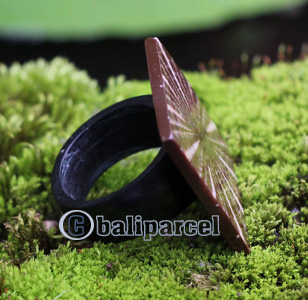 Ring, Made From Resin With Shell