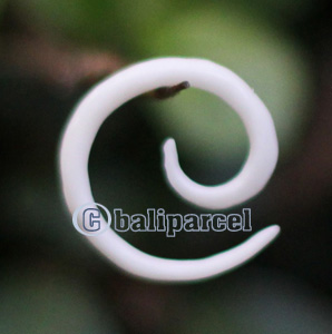 Pair Of Organic Body Piercing, Handmade With Bone