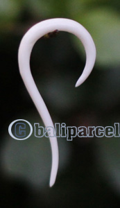 Pair Of Organic Body Piercing, Handmade With Bone