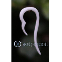 Pair Of Organic Body Piercing, Handmade With Bone