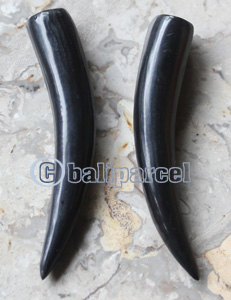 Pair Of Organic Body Piercing, Handmade With Horn