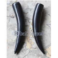 Pair Of Organic Body Piercing, Handmade With Horn