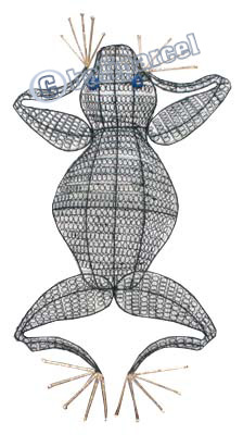 Frog, Made From Iron
