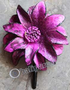 Hair Clip, Made From Snake Skin