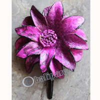 Hair Clip, Made From Snake Skin