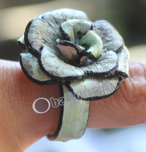 Ring Made From Snake Skin