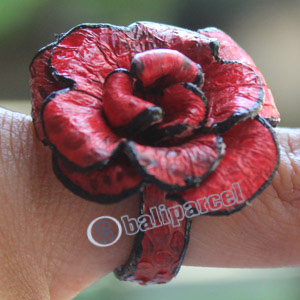 Ring Made From Snake Skin