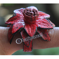 Ring Made From Snake Skin