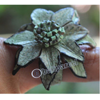 Ring Made From Snake Skin