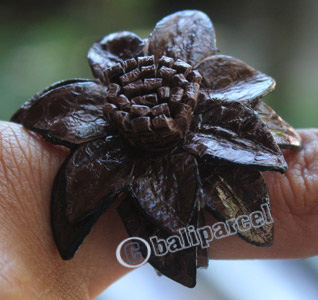 Ring Made From Snake Skin