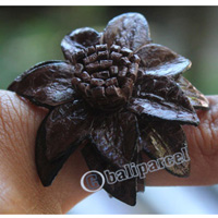Ring Made From Snake Skin