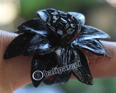 Ring Made From Snake Skin