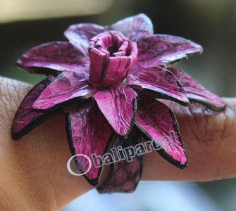 Ring Made From Snake Skin