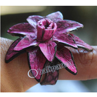 Ring Made From Snake Skin