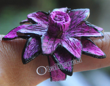Ring Made From Snake Skin