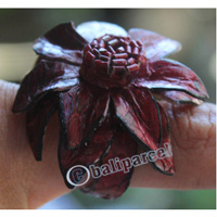 Ring Made From Snake Skin