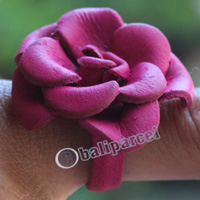 Ring Made From Leather
