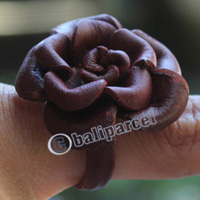 Ring Made From Leather