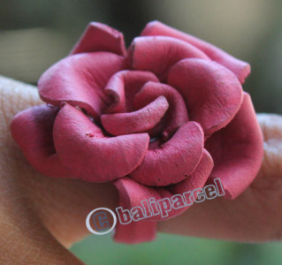 Ring Made From Leather