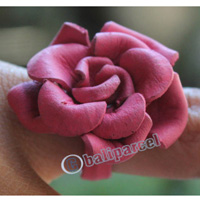 Ring Made From Leather