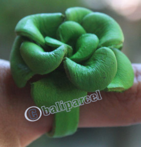 Ring Made From Leather
