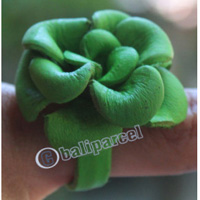 Ring Made From Leather