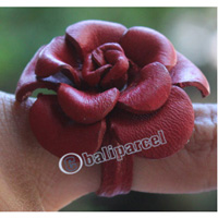 Ring Made From Leather