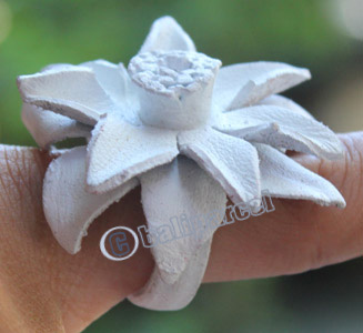 Ring Made From Leather