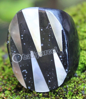 Ring Made From Resin With Shell