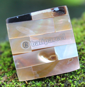 Ring Made From Resin With Shell