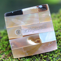 Ring Made From Resin With Shell